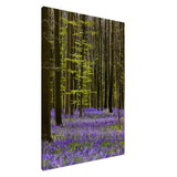  nature collection wall art spring