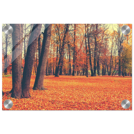golden silence in autumn a tranquil forest escape wall art print50x75 cm / 20x30″Aluminum Print