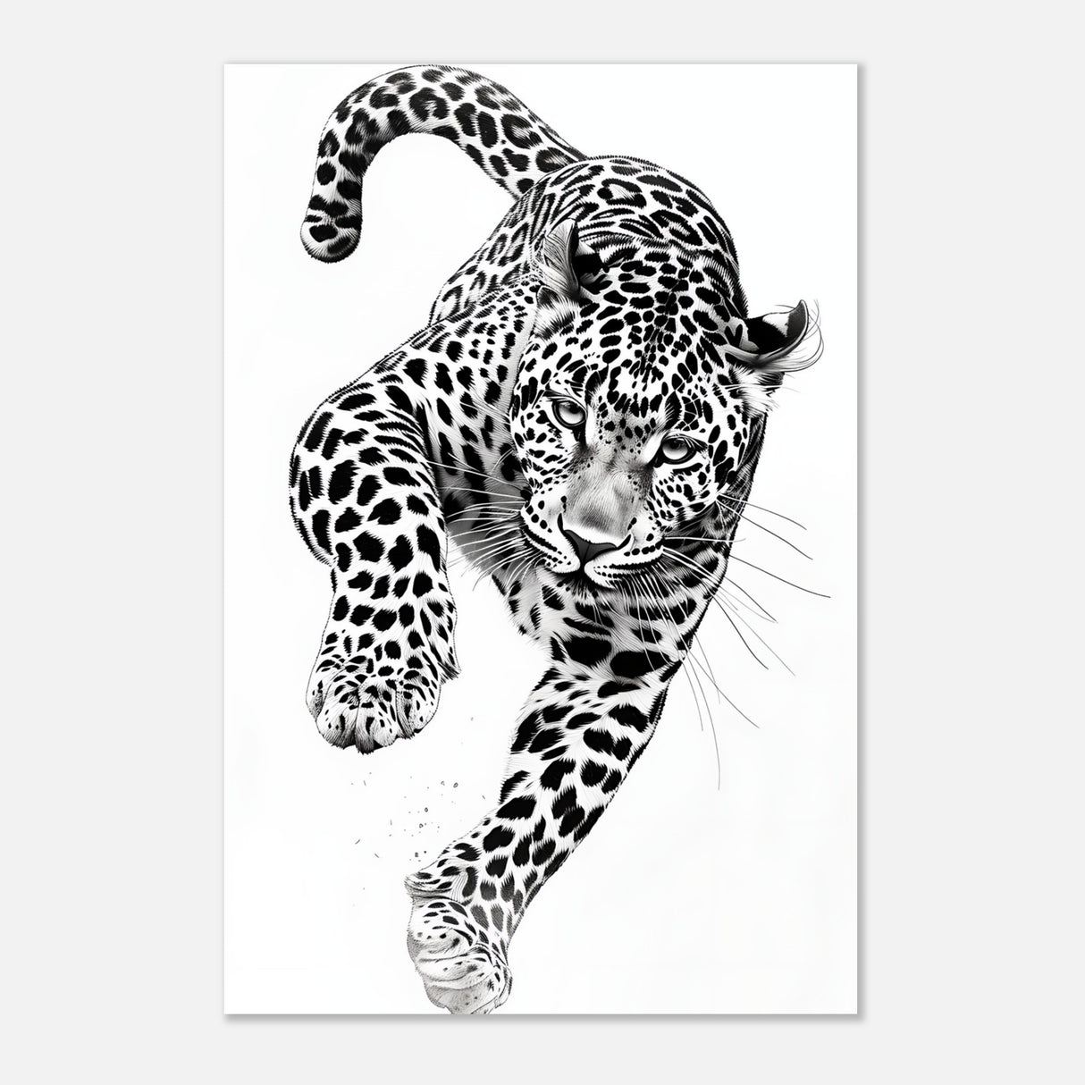  nature wall art wildlife leopard