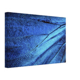  wall art blue butterfly wing