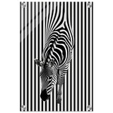  minimalist wall art wildlife zebra