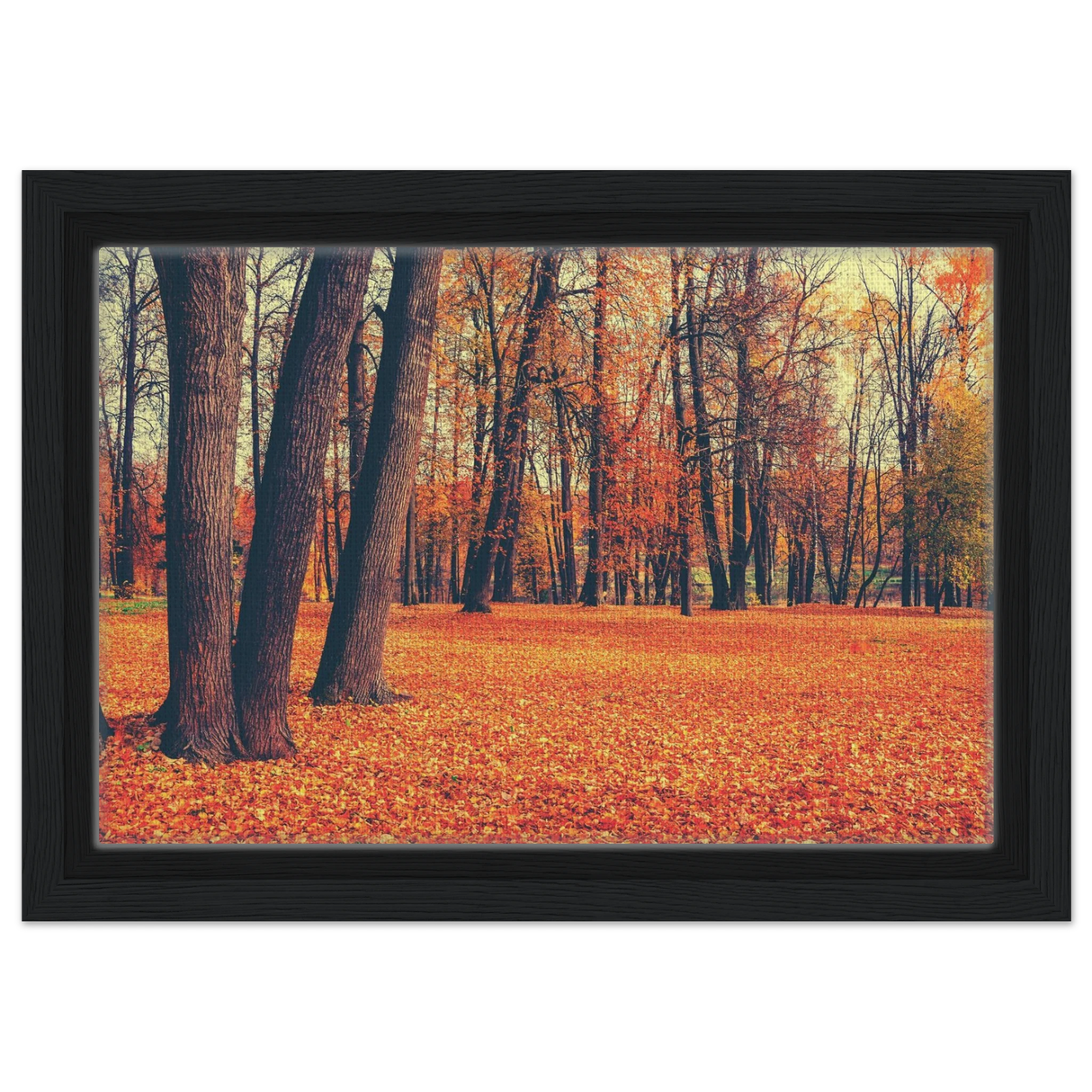 golden silence in autumn a tranquil forest escape wall art print60x90 cm / 24x36″Wood Prints