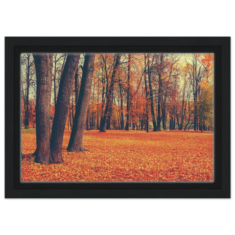 golden silence in autumn a tranquil forest escape wall art print60x90 cm / 24x36″Wood Prints