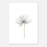 da vinci nature wall art floral 1