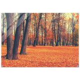 golden silence in autumn a tranquil forest escape wall art print60x90 cm / 24x36″Framed Canvas