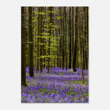  nature collection wall art spring