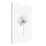 da vinci nature wall art floral 1
