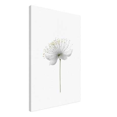 da vinci nature wall art floral 1