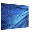 wall art blue butterfly wing