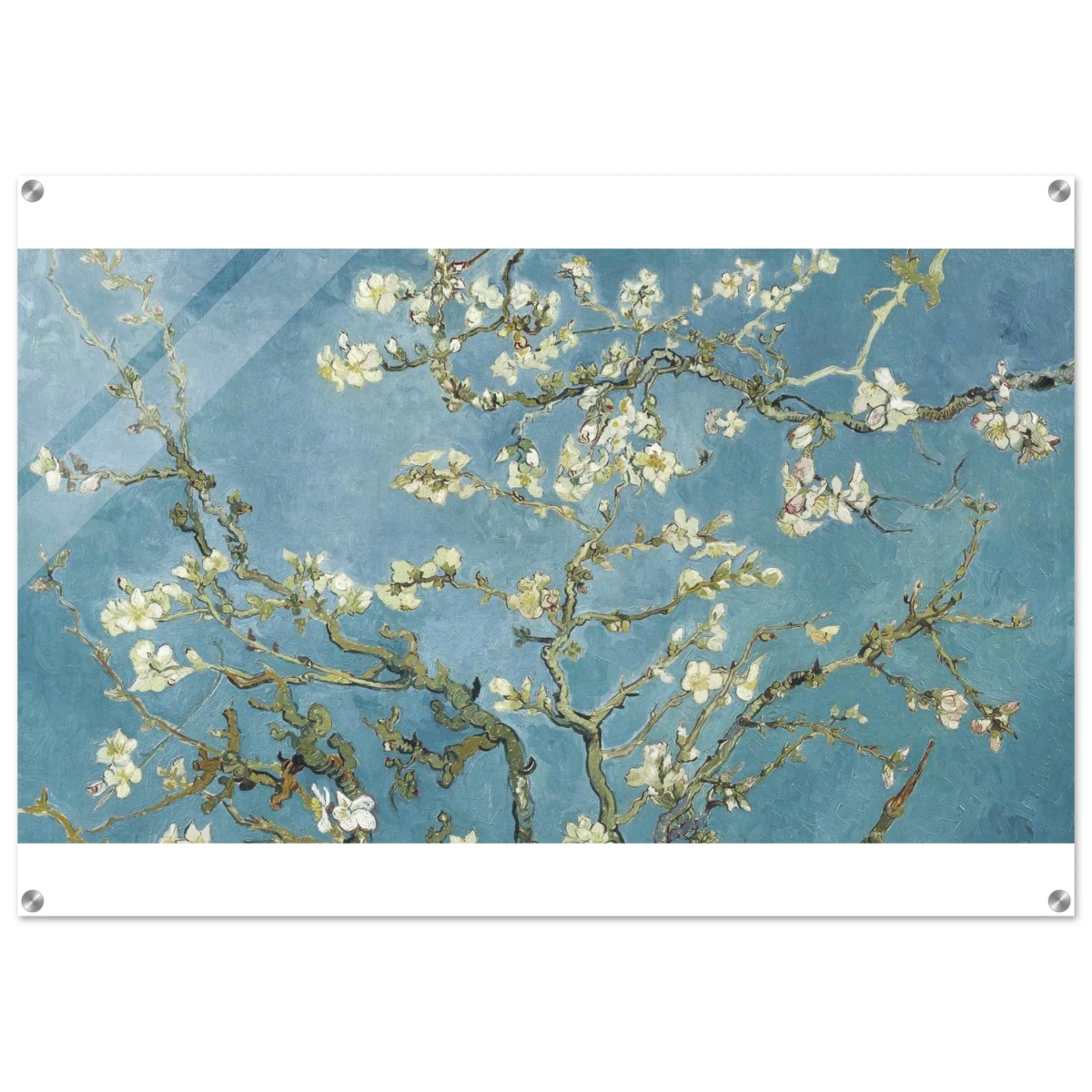 Almond Blossom Serenity – Van Gogh Inspired Wall Art Print - Acrylic Print - 70x100 cm / 28x40″ - 