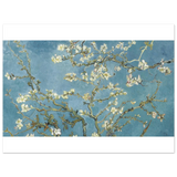 Almond Blossom Serenity – Van Gogh Inspired Wall Art Print - Fine Art Poster - 75x100 cm / 30x40″ - 