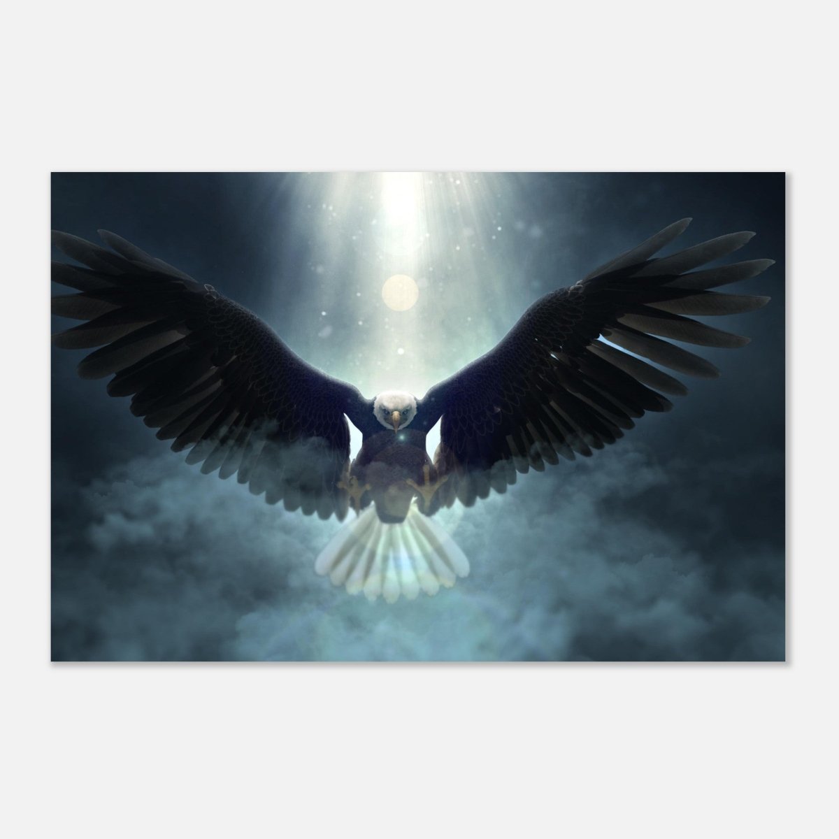 Animal Kingdom Wall art print collection | Eagle - Aluminum Print - 50x75 cm / 20x30″ - 
