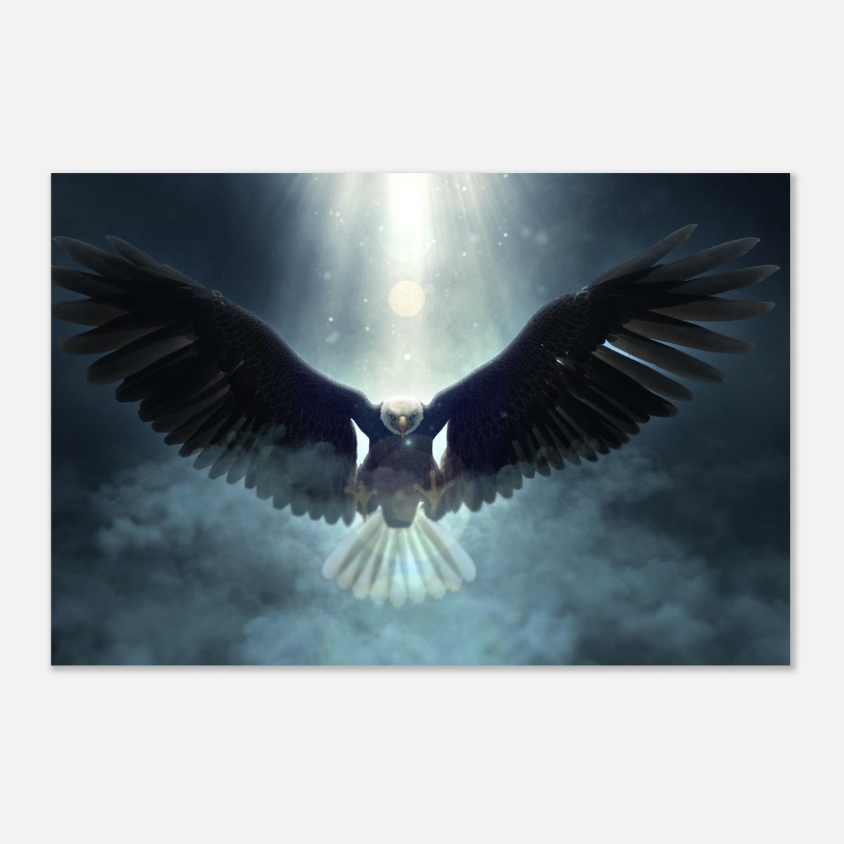 Animal Kingdom Wall art print collection | Eagle - Aluminum Print - 30x45 cm / 12x18″ - 