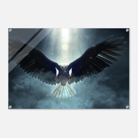 Animal Kingdom Wall art print collection | Eagle - Acrylic Print - 60x90 cm / 24x36″ - 