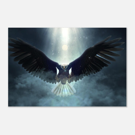 Animal Kingdom Wall art print collection | Eagle - Aluminum Print - 40x60 cm / 16x24″ - 