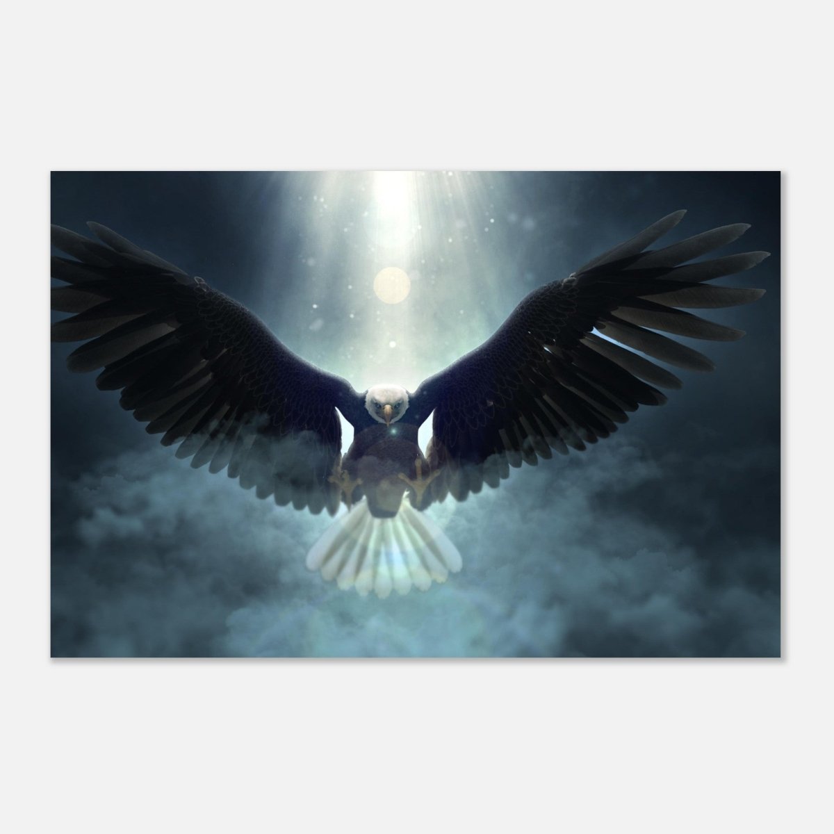 Animal Kingdom Wall art print collection | Eagle - Aluminum Print - 60x90 cm / 24x36″ - 