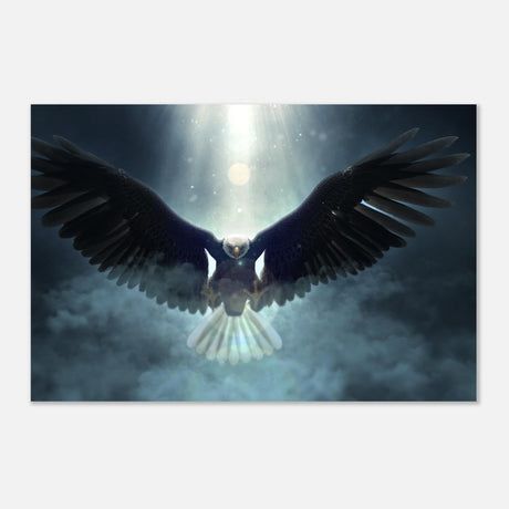Animal Kingdom Wall art print collection | Eagle - Aluminum Print - 60x90 cm / 24x36″ - 