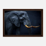 Animal Kingdom Wall art print collection | Elephant | Golden Tusk - Framed Canvas - 40x60 cm / 16x24″ - Dark wood frame