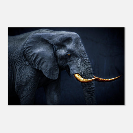 Animal Kingdom Wall art print collection | Elephant | Golden Tusk - Aluminum Print - 40x60 cm / 16x24″ - 