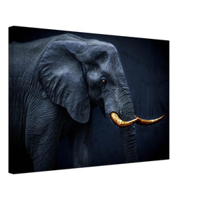 Animal Kingdom Wall art print collection | Elephant | Golden Tusk - Canvas - 40x60 cm / 16x24″ - 