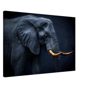 Animal Kingdom Wall art print collection | Elephant | Golden Tusk - Canvas - 50x75 cm / 20x30″ - 