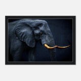 Animal Kingdom Wall art print collection | Elephant | Golden Tusk - Framed Canvas - 40x60 cm / 16x24″ - Black frame