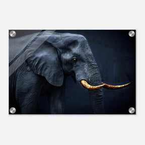 Animal Kingdom Wall art print collection | Elephant | Golden Tusk - Acrylic Print - 30x45 cm / 12x18″ - 