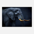 Animal Kingdom Wall art print collection | Elephant | Golden Tusk - Aluminum Print - 50x75 cm / 20x30″ - 