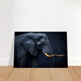 Animal Kingdom Wall art print collection | Elephant | Golden Tusk - Brushed Aluminum Print - 40x60 cm / 16x24″ - 