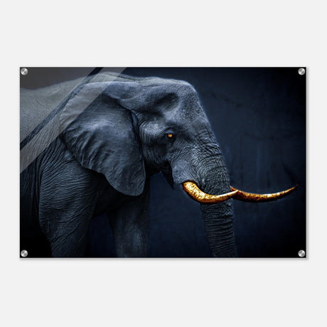 Animal Kingdom Wall art print collection | Elephant | Golden Tusk - Acrylic Print - 60x90 cm / 24x36″ - 