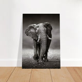 Animal Kingdom Wall art print collection | Elephant - Brushed Aluminum Print - 70x100 cm / 28x40″ - 