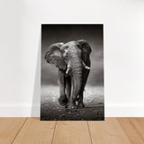 Animal Kingdom Wall art print collection | Elephant - Brushed Aluminum Print - 30x45 cm / 12x18″ - 