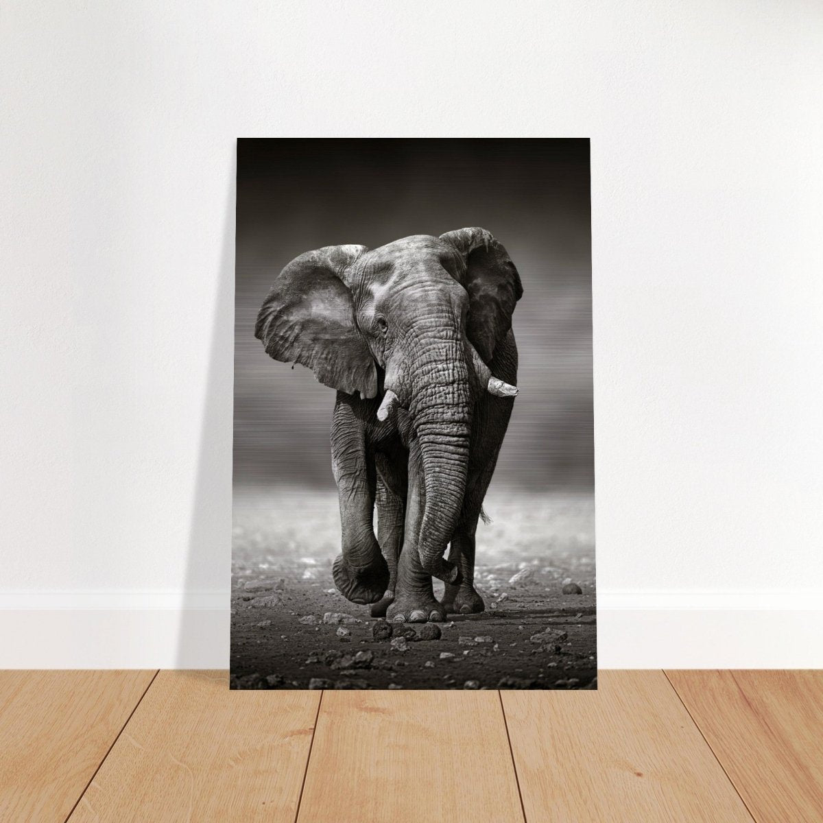 Animal Kingdom Wall art print collection | Elephant - Brushed Aluminum Print - 50x75 cm / 20x30″ - 