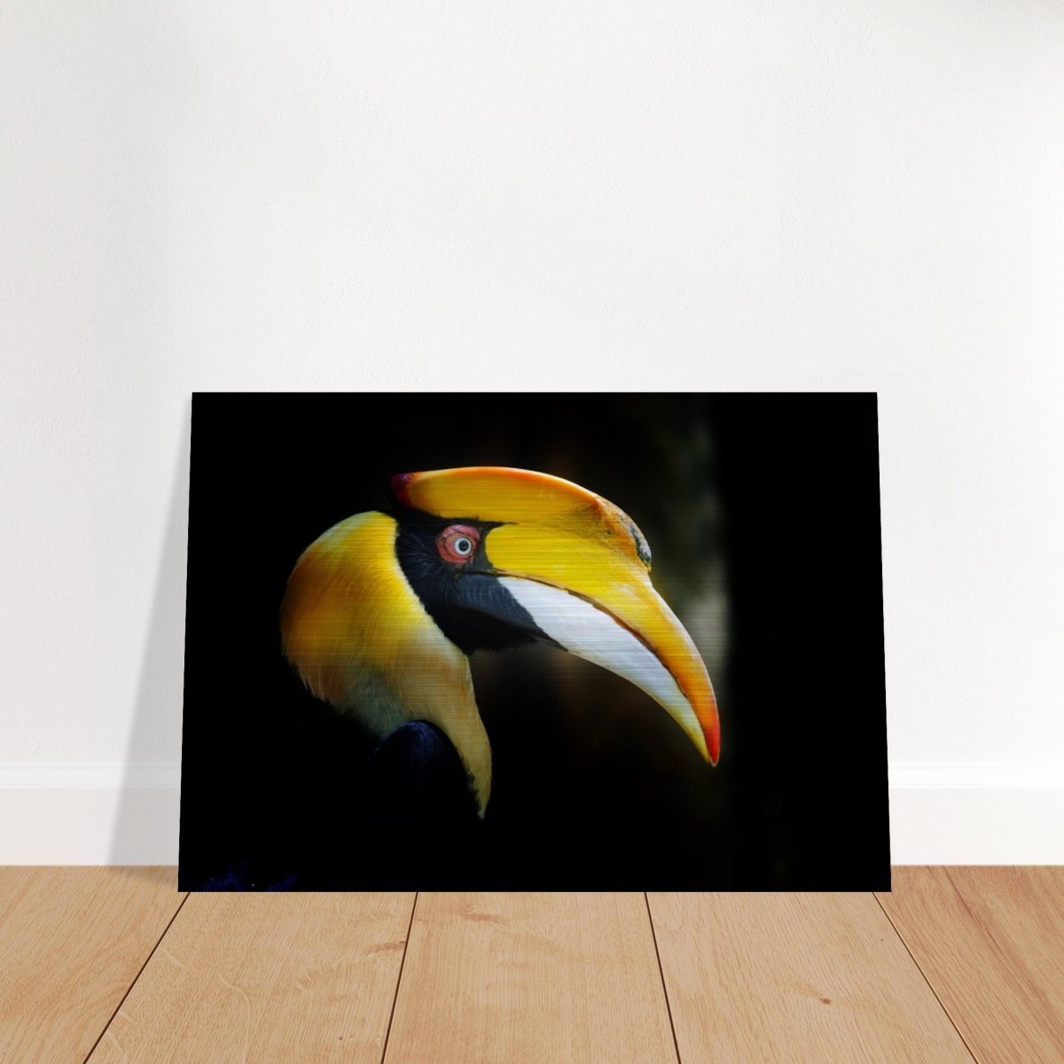 Animal Kingdom Wall art print collection | Great Indian Hornbill - Brushed Aluminum Print - 70x100 cm / 28x40″ - 