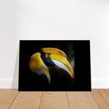 Animal Kingdom Wall art print collection | Great Indian Hornbill - Brushed Aluminum Print - 70x100 cm / 28x40″ - 