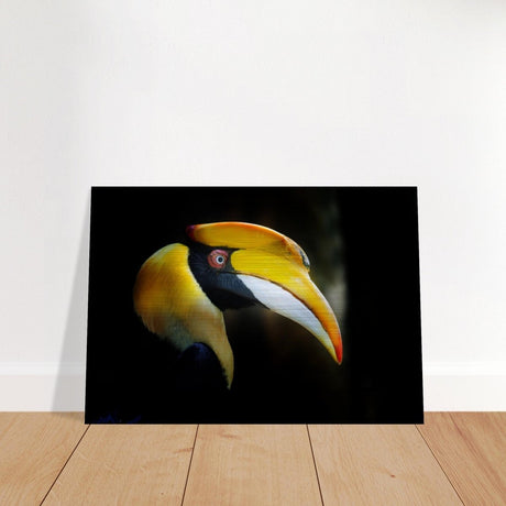 Animal Kingdom Wall art print collection | Great Indian Hornbill - Brushed Aluminum Print - 70x100 cm / 28x40″ - 