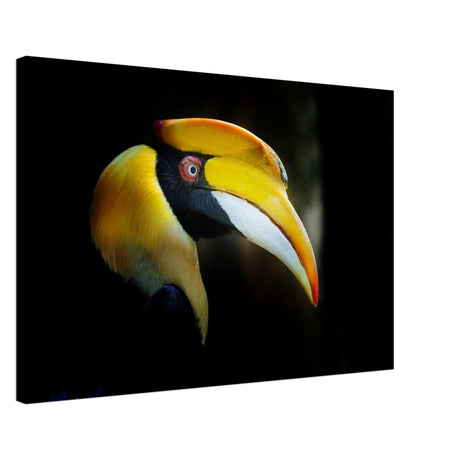 Animal Kingdom Wall art print collection | Great Indian Hornbill - Canvas - 50x75 cm / 20x30″ - Slim