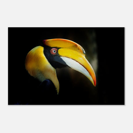 Animal Kingdom Wall art print collection | Great Indian Hornbill - Wood Prints - 50x75 cm / 20x30″ - 20 mm