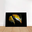 Animal Kingdom Wall art print collection | Great Indian Hornbill - Brushed Aluminum Print - 60x90 cm / 24x36″ - 