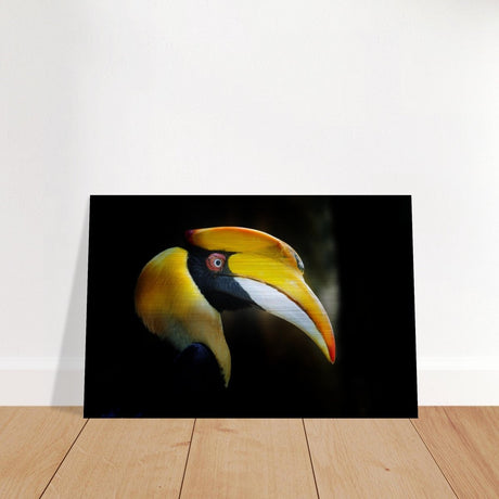 Animal Kingdom Wall art print collection | Great Indian Hornbill - Brushed Aluminum Print - 60x90 cm / 24x36″ - 