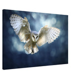 Animal Kingdom Wall art print collection | Owl - Canvas - 60x90 cm / 24x36″ - 