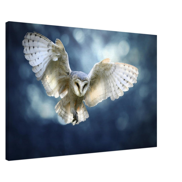 Animal Kingdom Wall art print collection | Owl - Canvas - 60x90 cm / 24x36″ - 