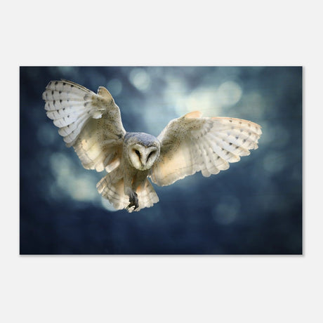 Animal Kingdom Wall art print collection | Owl - Wood Prints - 30x45 cm / 12x18″ - 