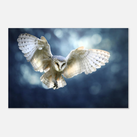 Animal Kingdom Wall art print collection | Owl - Aluminum Print - 60x90 cm / 24x36″ - 