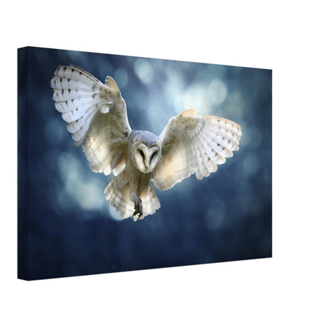 Animal Kingdom Wall art print collection | Owl - Canvas - 30x45 cm / 12x18″ - 
