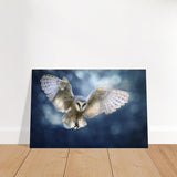 Animal Kingdom Wall art print collection | Owl - Brushed Aluminum Print - 30x45 cm / 12x18″ - 