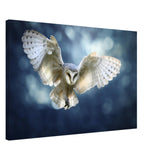 Animal Kingdom Wall art print collection | Owl - Canvas - 50x75 cm / 20x30″ - 