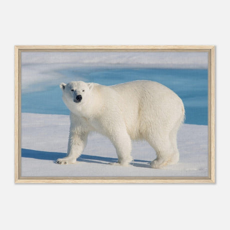 Animal Kingdom Wall art print collection | Polar bear - Framed Canvas - 50x75 cm / 20x30″ - Wood frame