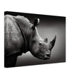 Animal Kingdom Wall art print collection | rhino - Canvas - 30x45 cm / 12x18″ - 