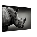 Animal Kingdom Wall art print collection | rhino - Canvas - 30x45 cm / 12x18″ - 